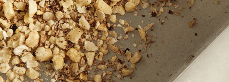 Areia fina vs. areia grossa: qual a diferença? Areia fina vs. areia grossa: qual a diferença?